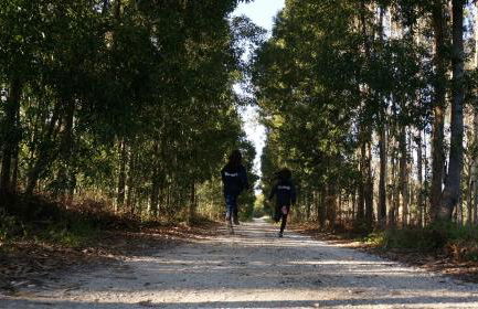 Forest Terrace Praia de Mira - Foto 28