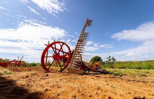 Villa Podere 109 - BioWine - Foto 18