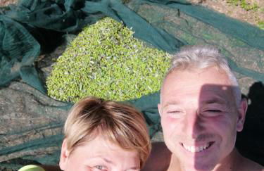 Il Podere di Sole - Foto 6