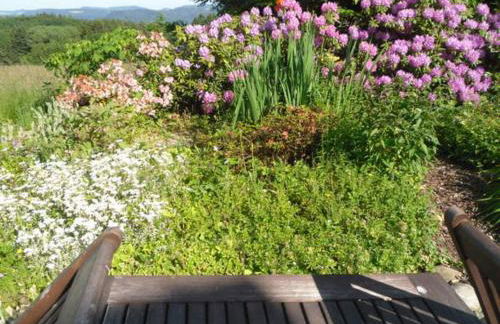 Ferienwohnung Raina - Foto 29