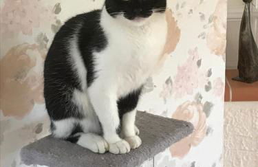 Urlaub auf dem Bauernhof Marx - Foto 35