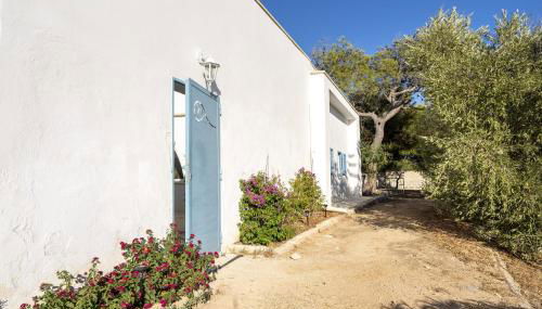 Agrumeto sul mare - Foto 3