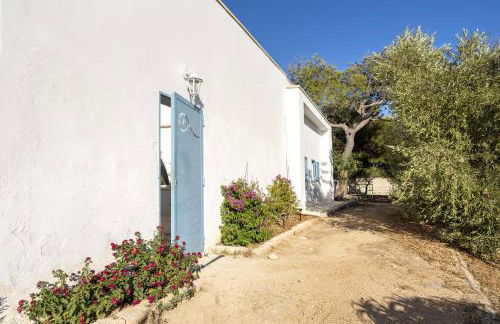 Agrumeto sul mare - Foto 3