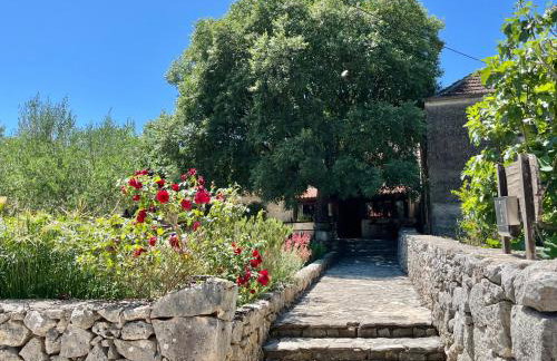 Apartman Robi - Photo 27