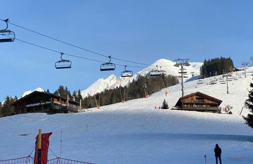 Les bouquetins - Foto 42