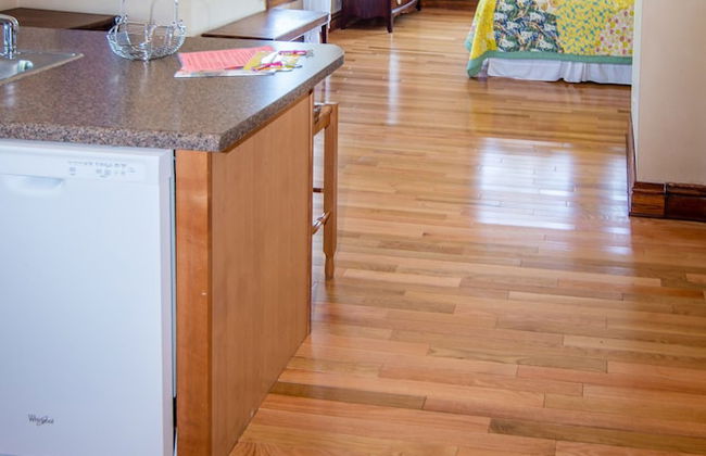 Serendipity Resort & Suites - Photo 10