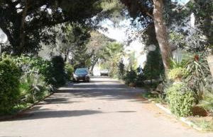 Rosi Sweet Home - Foto 25