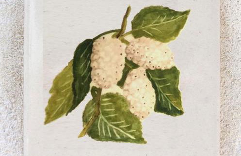 L'Ulivo Bianco - Foto 21