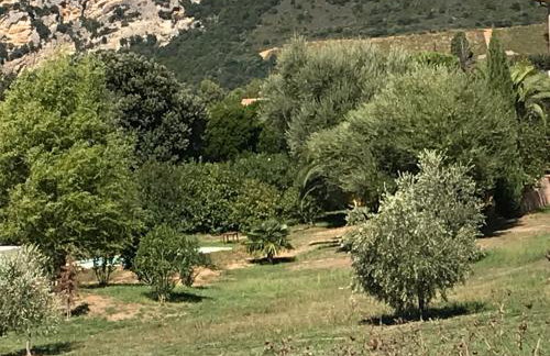 Agréable Location au coeur du vignoble DOMINICI THERESE - Foto 4