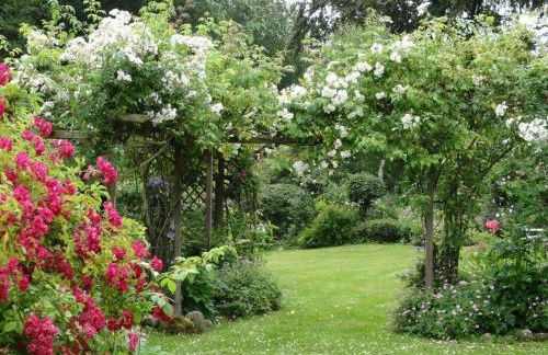 Romantic Thatched Roof House - Foto 45