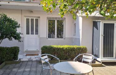 City Garden - Photo 13