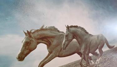 Apartments Luka - Foto 5