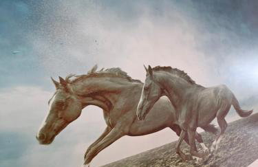 Apartments Luka - Foto 5