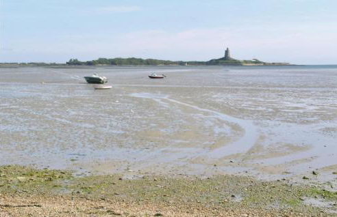 Amazing Home In Quettehou - Foto 10