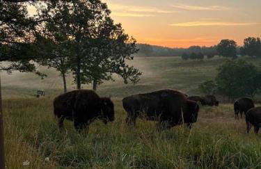 Peaceful Cabin-Breathtaking Views near Branson, MO - Foto 53