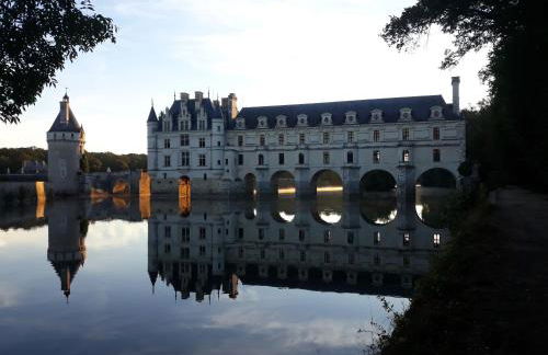 Gite La Vigneronne en Touraine - Foto 14
