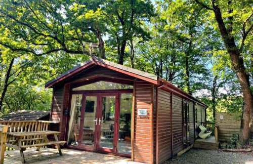Welsh Villa-Hot Tub-Tenby-Carmarthen-Forestsetting - Foto 13
