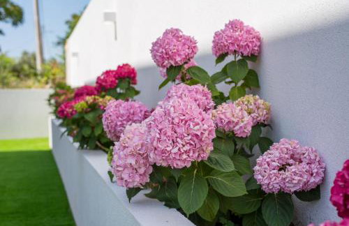 Villa Periska - Foto 16