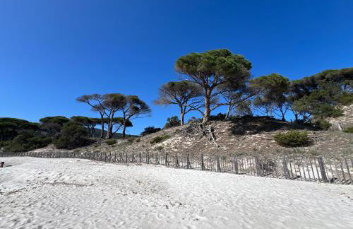 Location T2 44 m2 proche plage Lecci appartement 82 - Foto 10