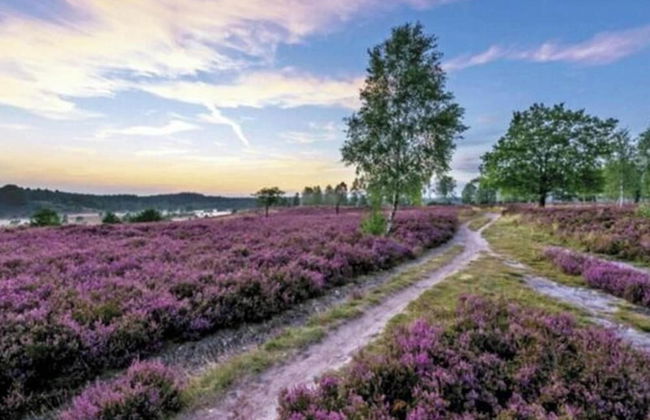 Holiday Home in the Fairytale Forest - Foto 17