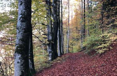 Ferienhaus Malterlehen - Foto 34