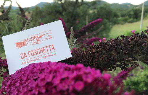 Da Foschetta - Foto 43