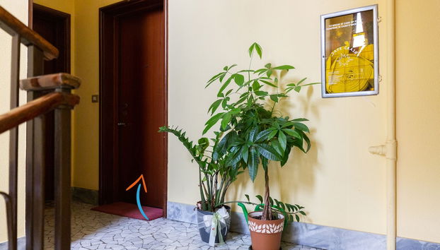 Entrada (vista interior)