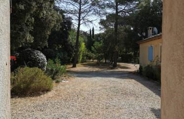 LES PAPILLONS - Foto 2