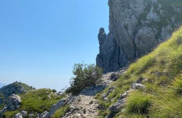 La coccinella - Foto 27