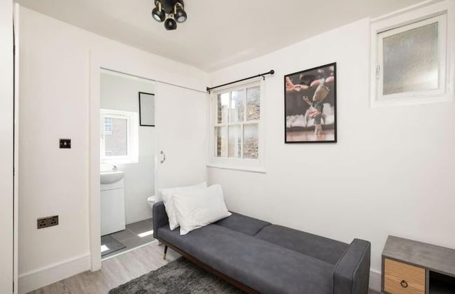 Spacious Serenity in the Heart of Central London - Foto 17