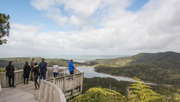 Vida salvaje en Auckland - Foto 3