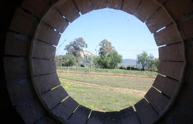 Azienda Agrituristica Le Puzelle - Foto 61