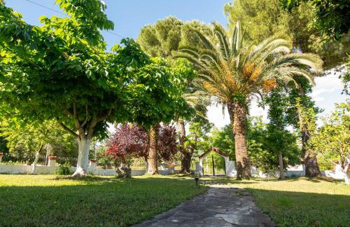 Country House Elaionas - Foto 28