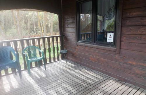 Białowieża Spanie na sianie Puszcza Białowieska - Foto 29