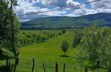 guesthouse LIPA - Foto 47