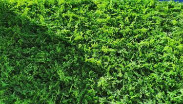 Villa Del Sol Santorini - Foto 2