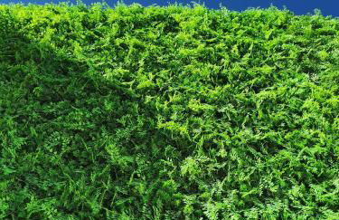 Villa Del Sol Santorini - Foto 2