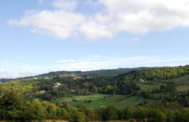 - Agriturismo La Piaggia - Forest View Apartment on the Ground Floor 2 Guests - Foto 18