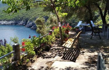 Dialiskari#4 - Foto 11