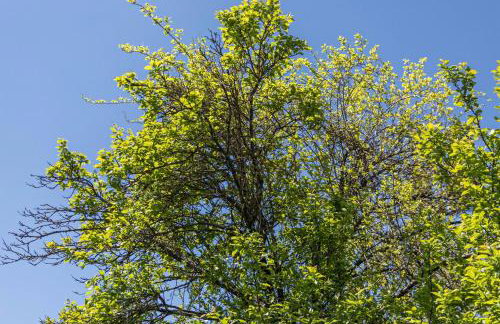 Ferienwohnung Heinrich - Foto 14