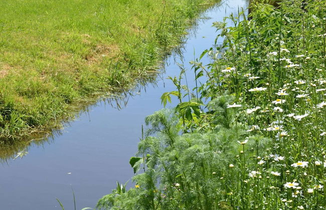 Renovated Mill in Gedinne With Garden - Foto 27