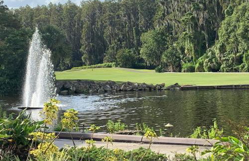 GolfView Executive Suite Near Tampa - Foto 1