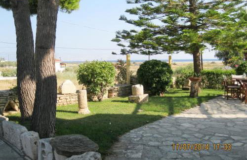 Apollon Resort - Foto 39