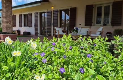 Agriturismo CarpinoNero - Photo 1