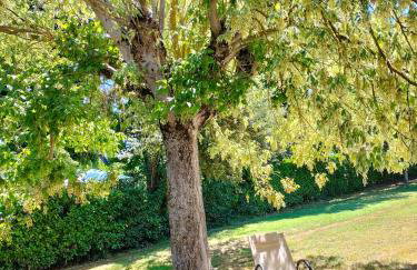 Casa vacanze Bonardini - Foto 12