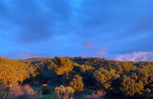les-pepites-de-badou présentent La Gravière - Foto 25