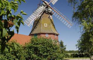 Zur Windrose Ferienwohnung an der Windmühle Labbus - Foto 10