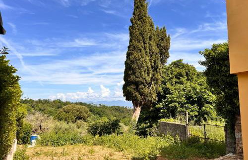 Noah Homes - Foto 31