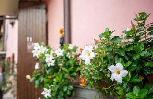 alloggio "La Torretta"self H24 di Silvana e Valter - Photo 1