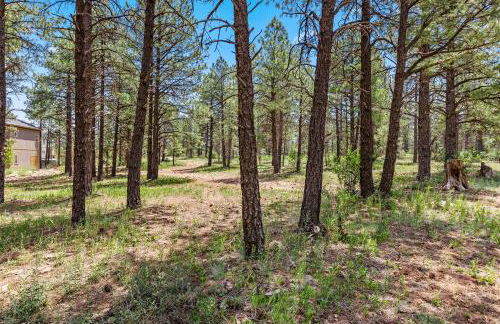 Butler #16 - Photo 26